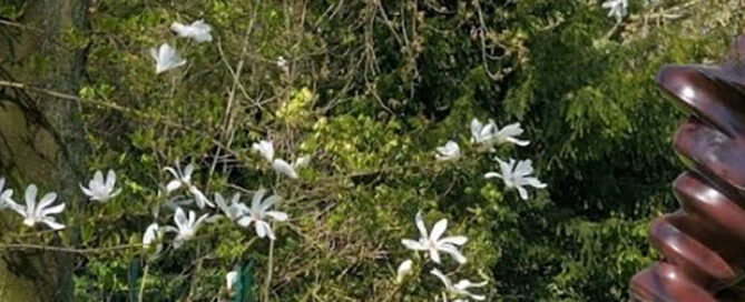 Beitragsbild Wuppertal